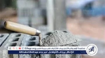 تطور جديد.. أسعار الأسمنت اليوم في المنيا وخريطة أسعار مختلفة بين الشركات 1